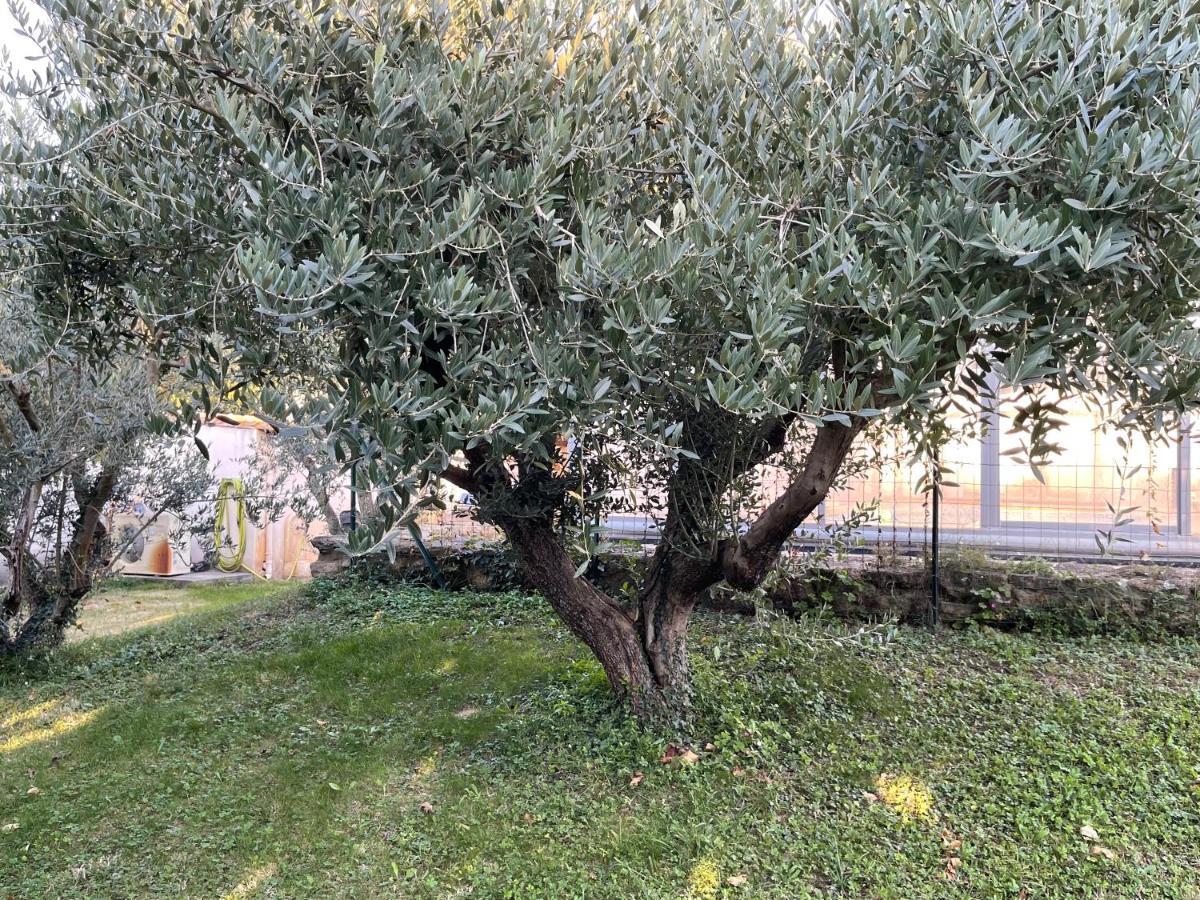 Studio Les Petits Lutins Entraigues-sur-la-Sorgue Εξωτερικό φωτογραφία