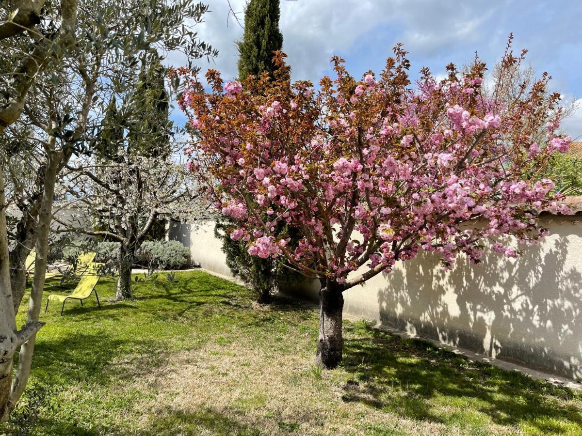 Studio Les Petits Lutins Entraigues-sur-la-Sorgue Εξωτερικό φωτογραφία